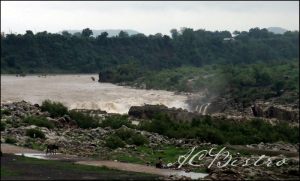 River Narmada, in spate